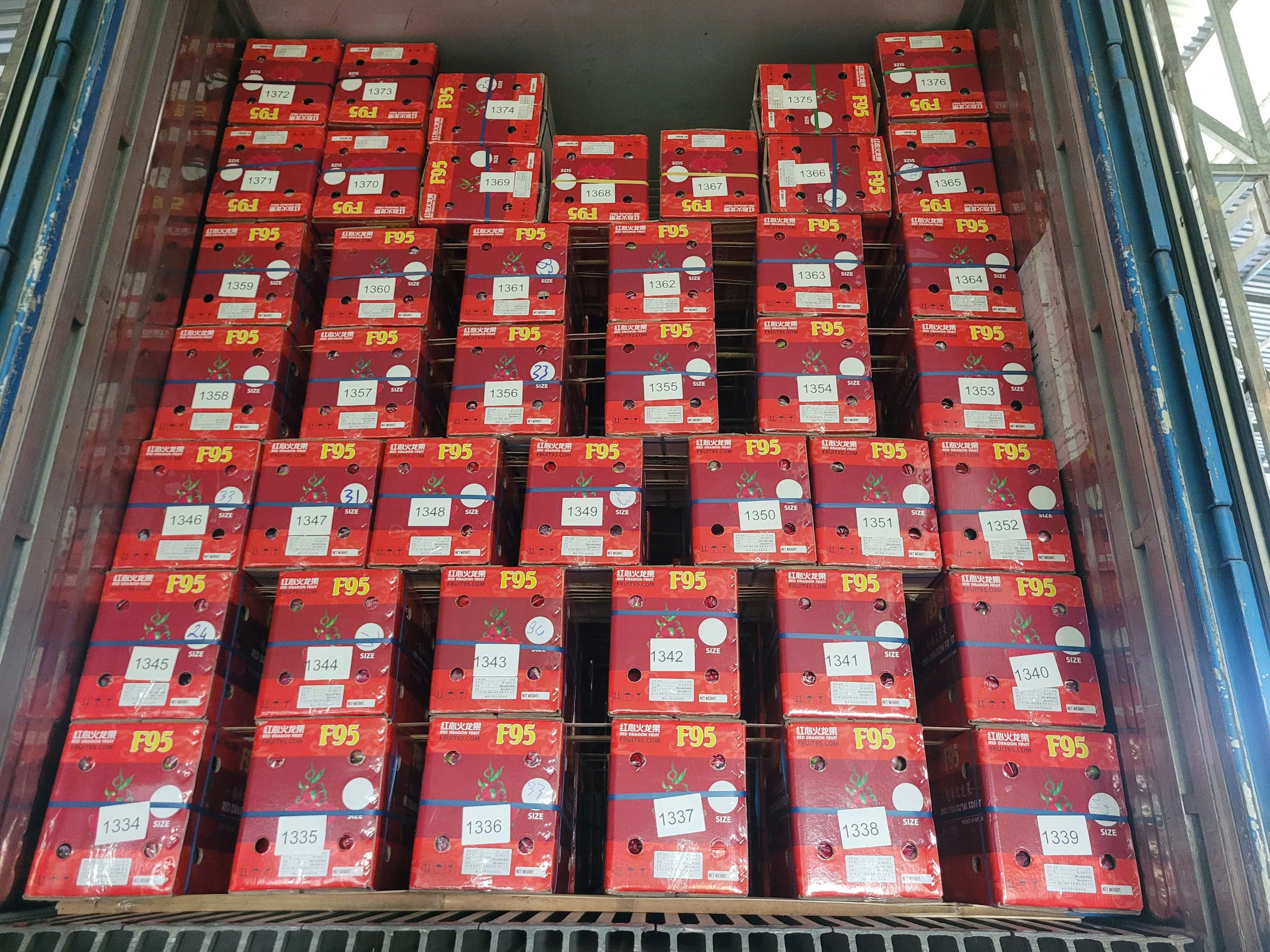 Tiêu chuẩn đóng gói Thanh Long xuất Mỹ, Úc, New Zealand, Hàn Quốc ...