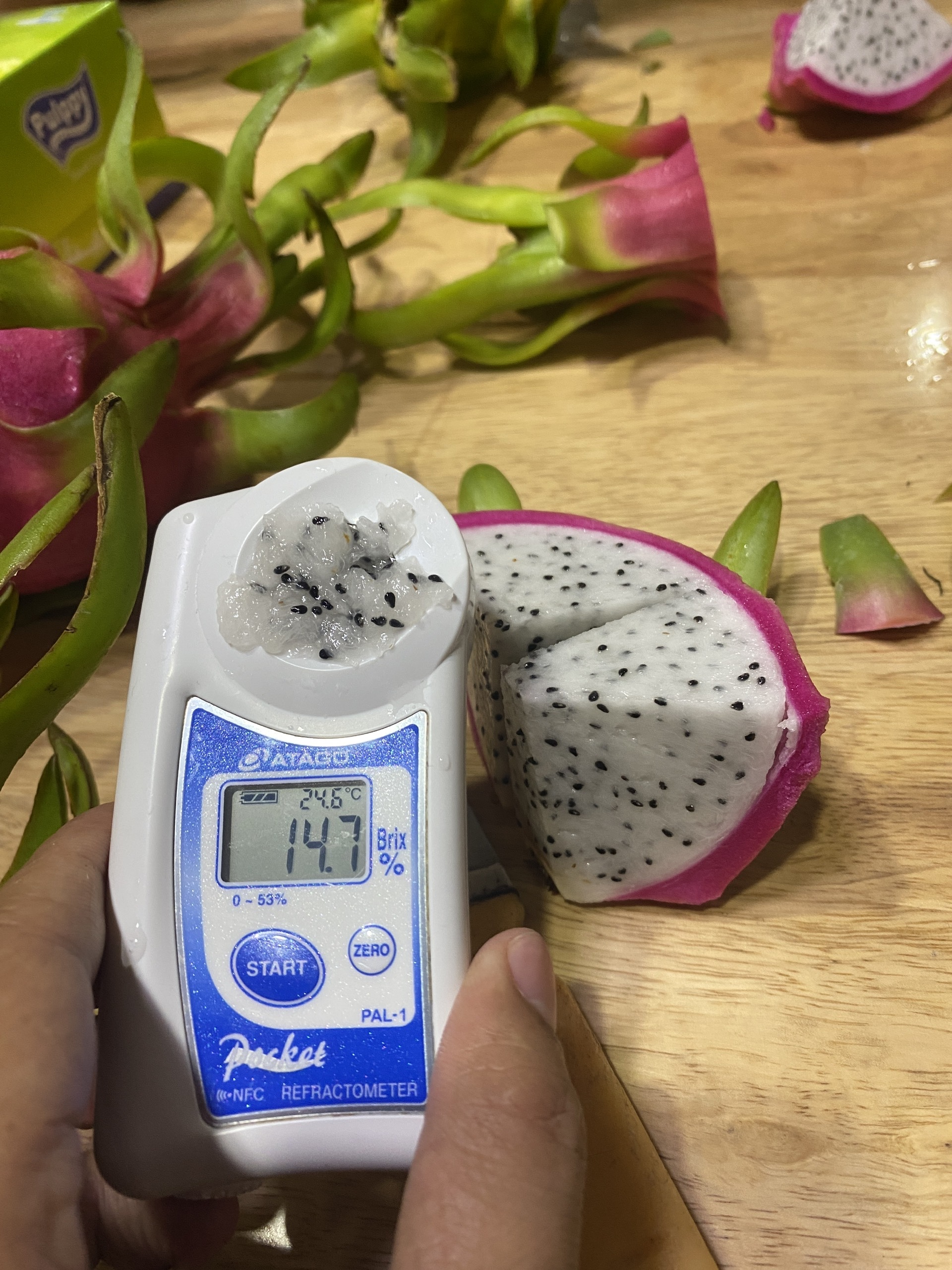 brix thanh long trắng