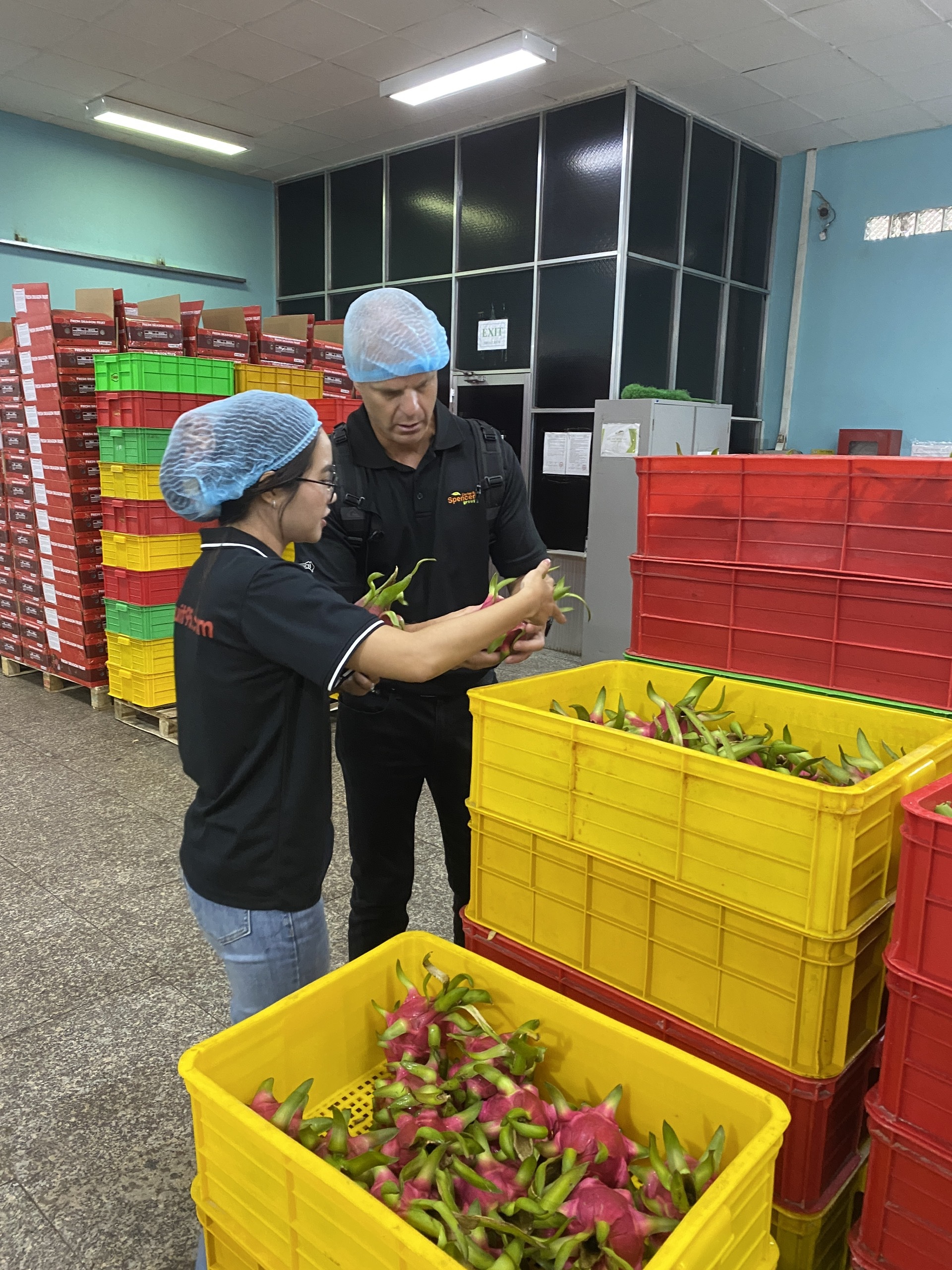 kiểm tra thanh long tại nhà máy