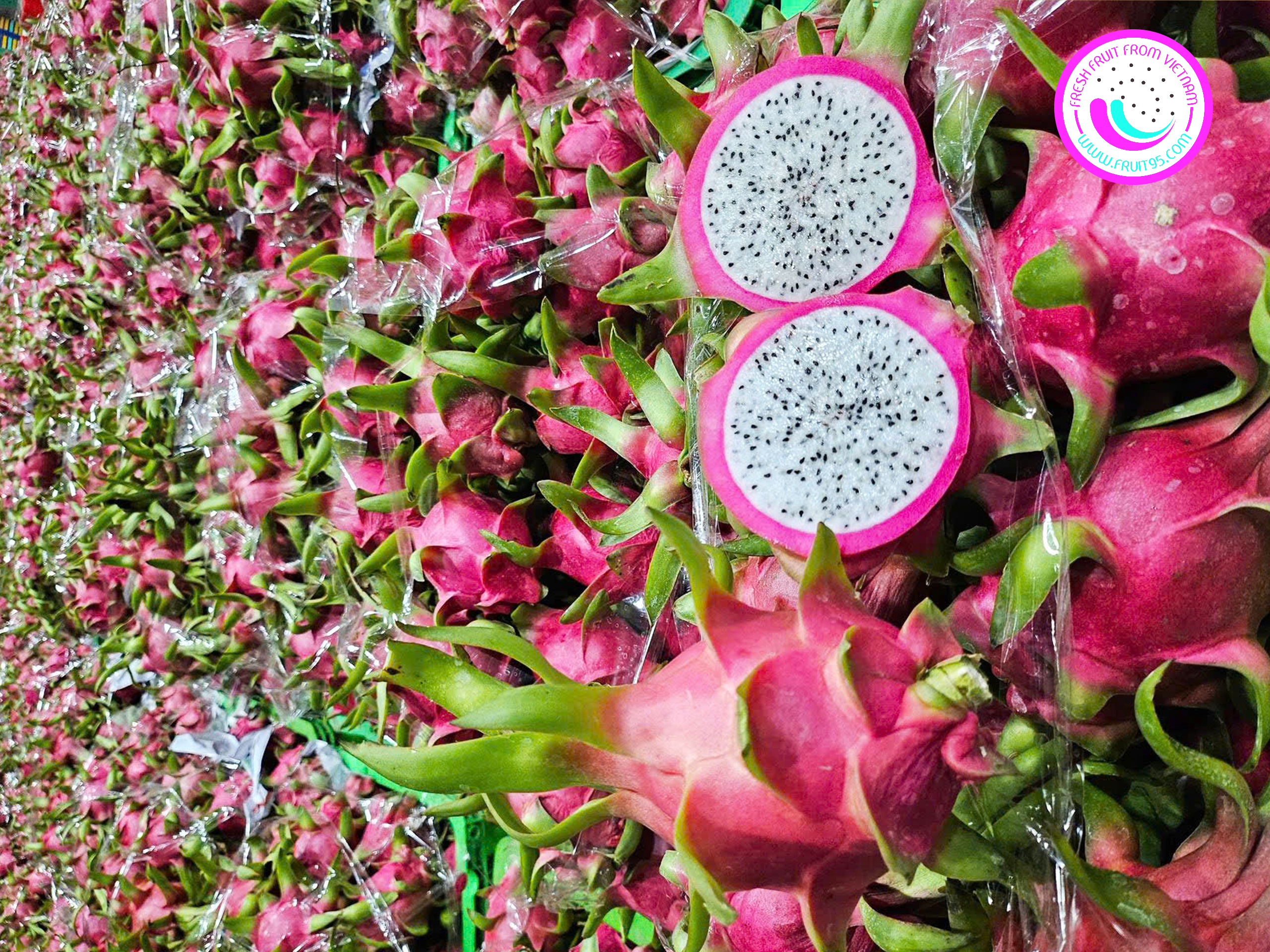 Xuat khau trai cay sang cac nuoc