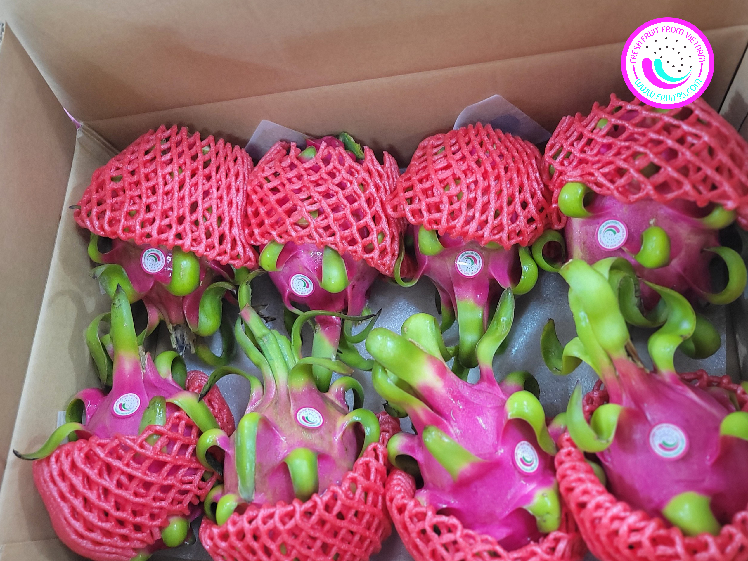 Xuat khau trai cay sang cac nuoc