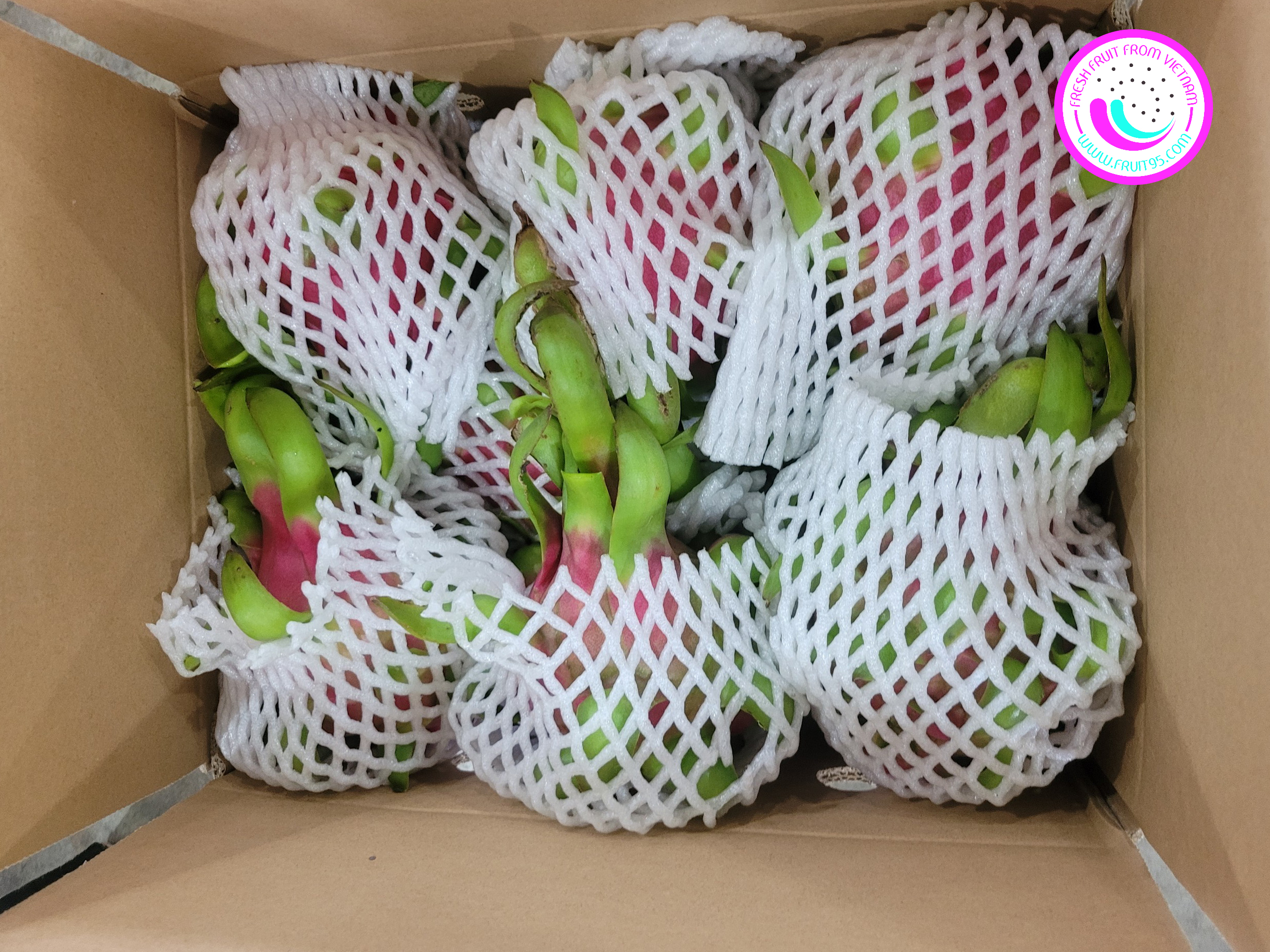 Xuat khau trai cay sang cac nuoc