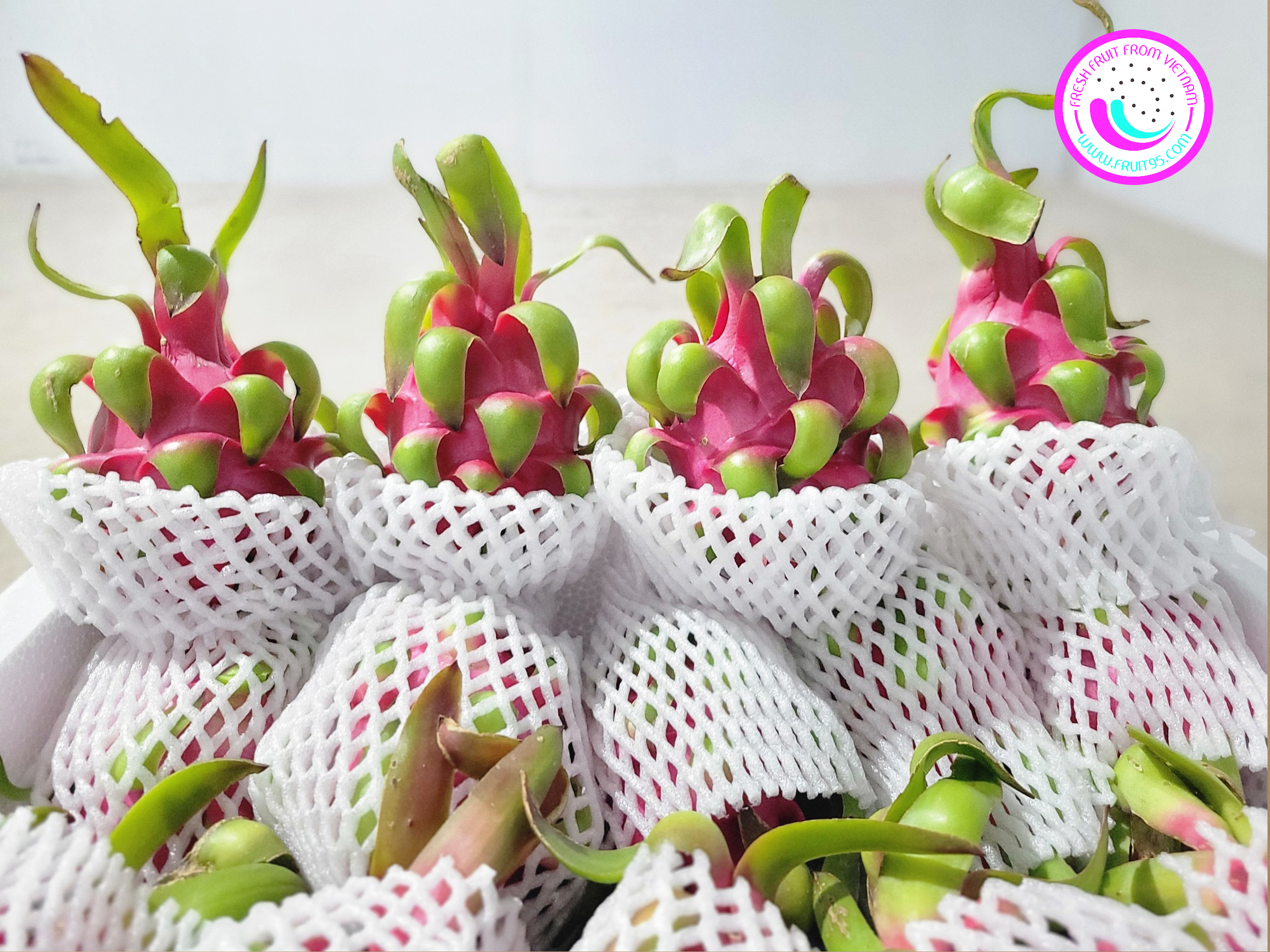 Xuat khau trai cay sang cac nuoc